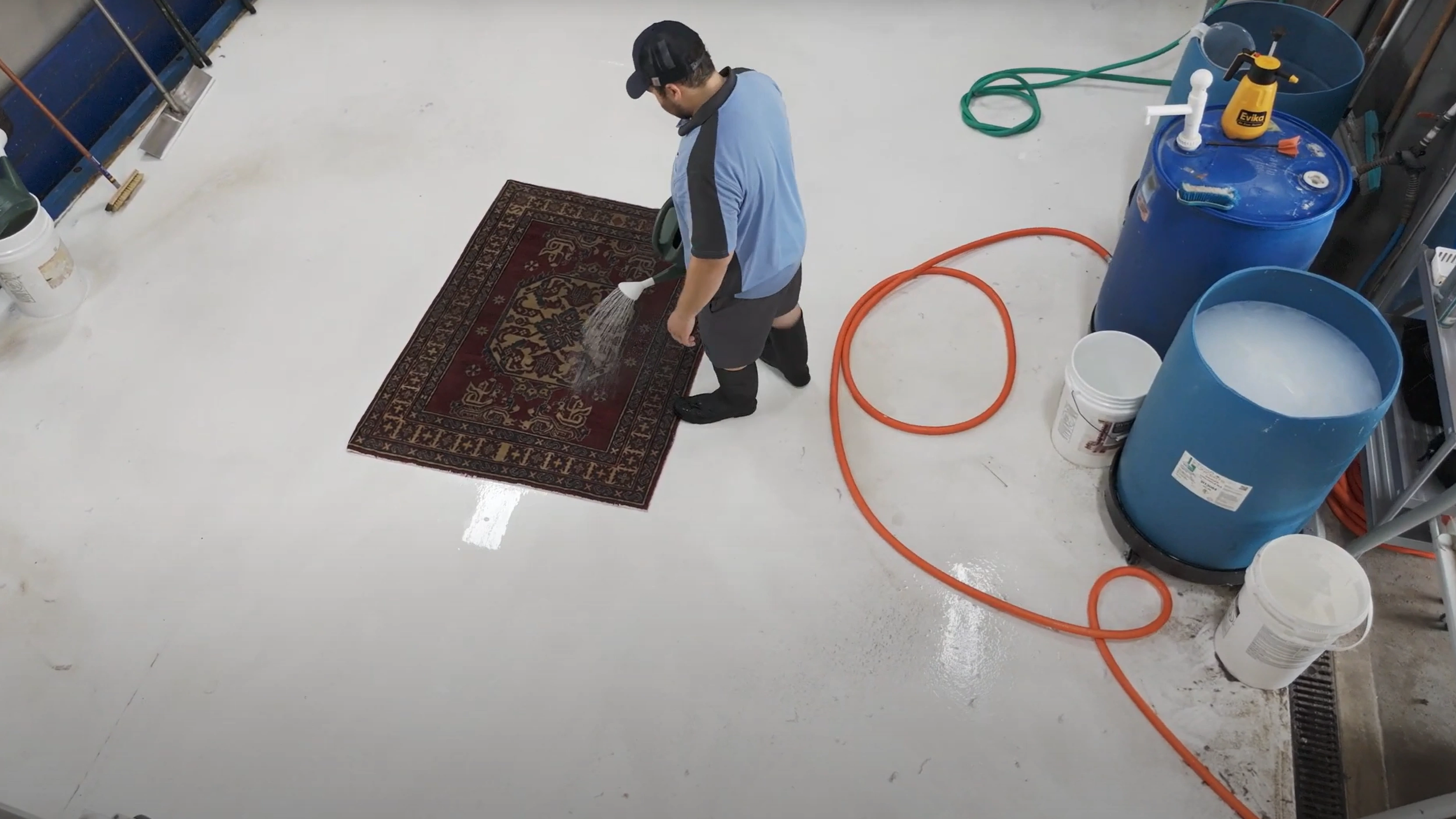 Professional rug assessment and cleaning at Rug Life